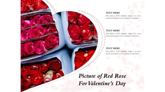 Picture Of Red Rose For Valentines Day Ppt PowerPoint Presentation Portfolio Outfit PDF Picture Of Red Rose For Valentines Day Ppt PowerPoint Presentation Portfolio Outfit PDF