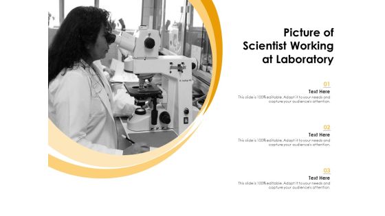 Picture Of Scientist Working At Laboratory Ppt PowerPoint Presentation Model Diagrams PDF Picture Of Scientist Working At Laboratory Ppt PowerPoint Presentation Model Diagrams PDF