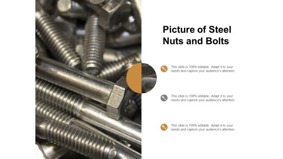 Picture Of Steel Nuts And Bolts Ppt PowerPoint Presentation Gallery Layouts