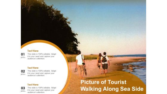 Picture Of Tourist Walking Along Sea Side Ppt Powerpoint Presentation Summary Brochure Pdf