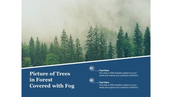 Picture Of Trees In Forest Covered With Fog Ppt PowerPoint Presentation Pictures Aids PDF Picture Of Trees In Forest Covered With Fog Ppt PowerPoint Presentation Pictures Aids PDF
