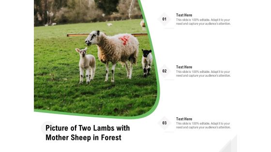 Picture Of Two Lambs With Mother Sheep In Forest Ppt PowerPoint Presentation File Vector PDF Picture Of Two Lambs With Mother Sheep In Forest Ppt PowerPoint Presentation File Vector PDF