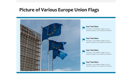Picture Of Various Europe Union Flags Ppt PowerPoint Presentation Ideas Outfit PDF Picture Of Various Europe Union Flags Ppt PowerPoint Presentation Ideas Outfit PDF