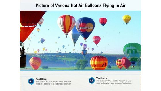 Picture Of Various Hot Air Balloons Flying In Air Ppt PowerPoint Presentation Gallery Ideas PDF
