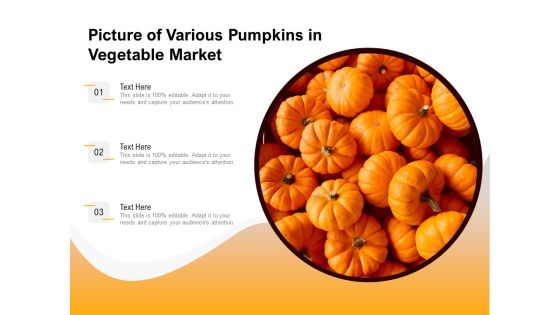 Picture Of Various Pumpkins In Vegetable Market Ppt PowerPoint Presentation Gallery Professional PDF Picture Of Various Pumpkins In Vegetable Market Ppt PowerPoint Presentation Gallery Professional PDF