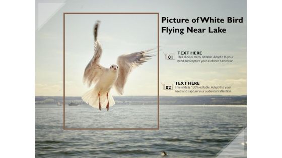 Picture Of White Bird Flying Near Lake Ppt PowerPoint Presentation Gallery Gridlines PDF