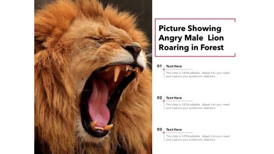 Picture Showing Angry Male Lion Roaring In Forest Ppt PowerPoint Presentation Show Tips PDF Picture Showing Angry Male Lion Roaring In Forest Ppt PowerPoint Presentation Show Tips PDF