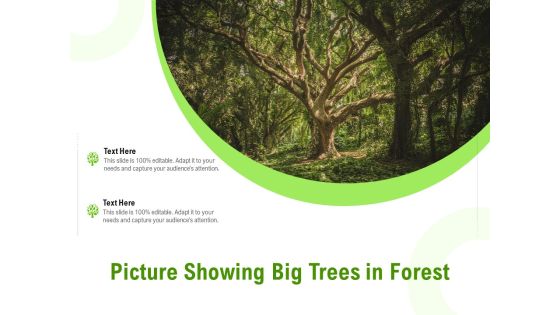 Picture Showing Big Trees In Forest Ppt Icon Summary PDF Picture Showing Big Trees In Forest Ppt Icon Summary PDF