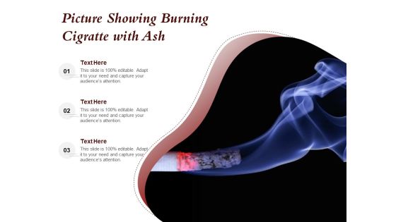 Picture Showing Burning Cigratte With Ash Ppt PowerPoint Presentation Icon Ideas PDF