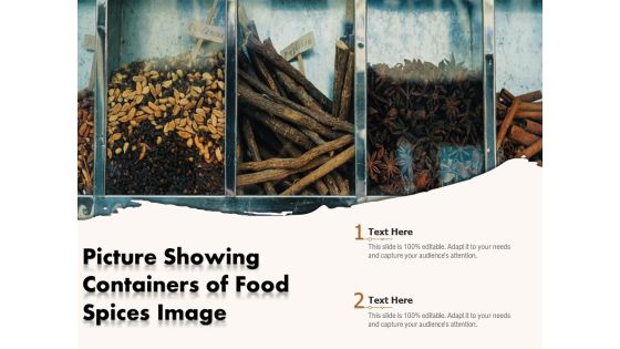 Picture Showing Containers Of Food Spices Image Ppt PowerPoint Presentation Outline Layout Ideas PDF Picture Showing Containers Of Food Spices Image Ppt PowerPoint Presentation Outline Layout Ideas PDF