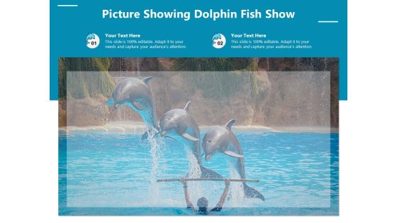 Picture Showing Dolphin Fish Show Ppt PowerPoint Presentation File Slideshow PDF