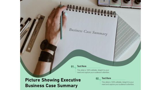 Picture Showing Executive Business Case Summary Ppt PowerPoint Presentation Summary Visual Aids PDF