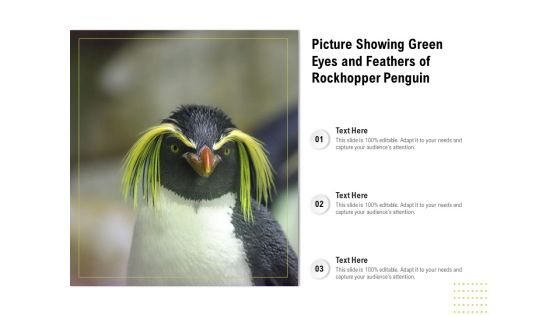 Picture Showing Green Eyes And Feathers Of Rockhopper Penguin Ppt PowerPoint Presentation Gallery Professional PDF Picture Showing Green Eyes And Feathers Of Rockhopper Penguin Ppt PowerPoint Presentation Gallery Professional PDF