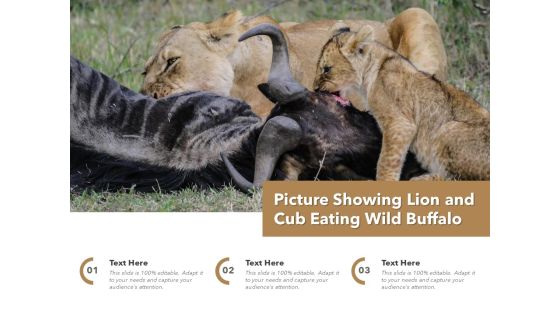 Picture Showing Lion And Cub Eating Wild Buffalo Ppt PowerPoint Presentation Outline Graphics Example PDF