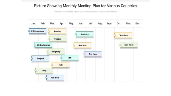 Picture Showing Monthly Meeting Plan For Various Countries Ppt PowerPoint Presentation Portfolio Tips PDF