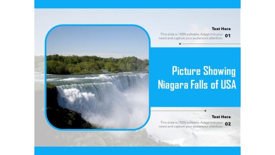 Picture Showing Niagara Falls Of USA Ppt PowerPoint Presentation Summary PDF Picture Showing Niagara Falls Of USA Ppt PowerPoint Presentation Summary PDF