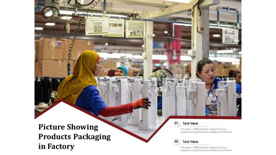 Picture Showing Products Packaging In Factory Ppt PowerPoint Presentation Icon Shapes PDF Picture Showing Products Packaging In Factory Ppt PowerPoint Presentation Icon Shapes PDF