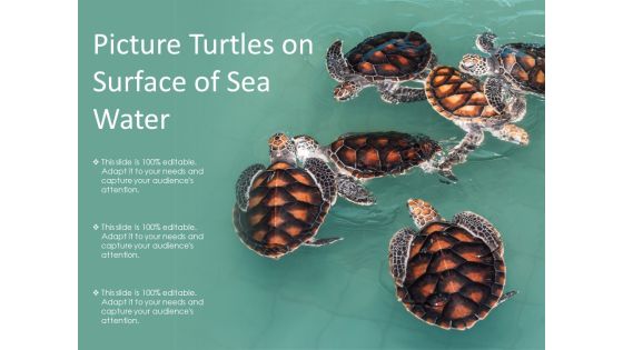 Picture Turtles On Surface Of Sea Water Ppt PowerPoint Presentation Inspiration Information PDF