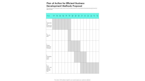 Plan Of Action For Efficient Business Development Methods Proposal One Pager Sample Example Document