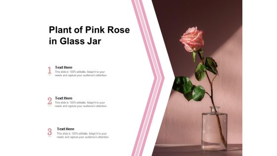 Plant Of Pink Rose In Glass Jar Ppt PowerPoint Presentation Icon Show PDF Plant Of Pink Rose In Glass Jar Ppt PowerPoint Presentation Icon Show PDF