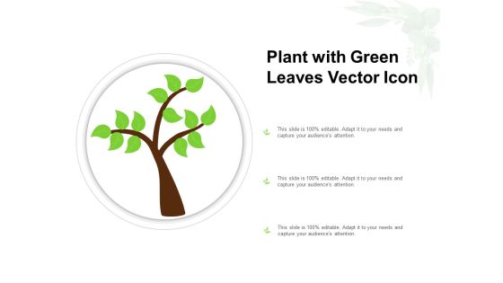 Plant With Green Leaves Vector Icon Ppt Model Diagrams PDF Plant With Green Leaves Vector Icon Ppt Model Diagrams PDF