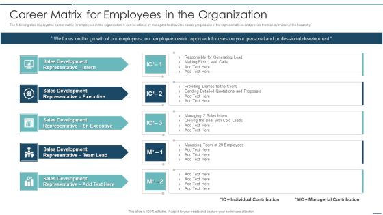 Playbook For Sales Development Executives Career Matrix For Employees In The Organization Graphics PDF Playbook For Sales Development Executives Career Matrix For Employees In The Organization Graphics PDF