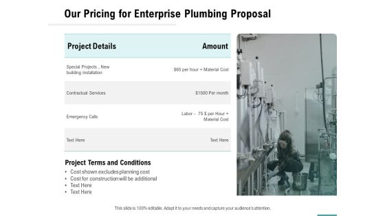 Plumbing Sanitary Works Our Pricing For Enterprise Plumbing Proposal Summary PDF Plumbing Sanitary Works Our Pricing For Enterprise Plumbing Proposal Summary PDF