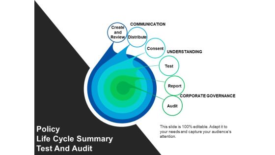 Policy Life Cycle Summary Test And Audit Ppt PowerPoint Presentation File Background Images Policy Life Cycle Summary Test And Audit Ppt PowerPoint Presentation File Background Images