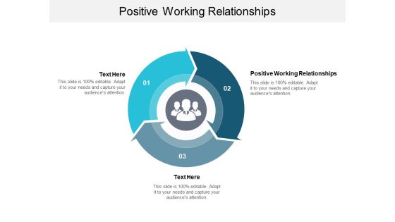 Positive Working Relationships Ppt PowerPoint Presentation Information Cpb