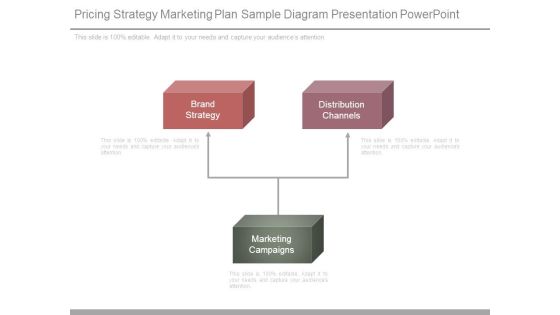 Pricing Strategy Marketing Plan Sample Diagram Presentation Powerpoint