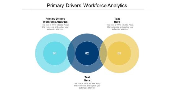 Primary Drivers Workforce Analytics Ppt PowerPoint Presentation Inspiration Gridlines Cpb