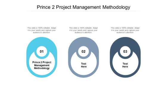 Prince 2 Project Management Methodology Ppt PowerPoint Presentation Layouts Tips Cpb Pdf Prince 2 Project Management Methodology Ppt PowerPoint Presentation Layouts Tips Cpb Pdf