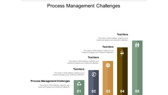 Process Management Challenges Ppt PowerPoint Presentation Slides Visuals Cpb
