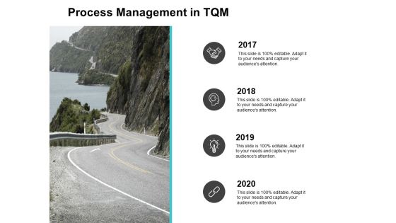 Process Management In TQM 2017 To 2020 Ppt PowerPoint Presentation Portfolio Demonstration