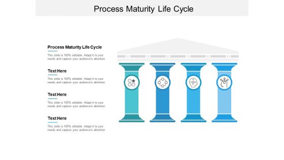 Process Maturity Life Cycle Ppt PowerPoint Presentation Summary Visual Aids Cpb