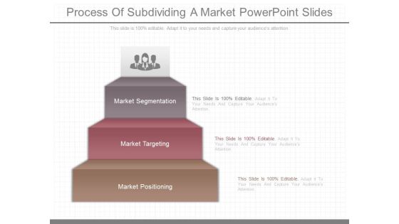 Process Of Subdividing A Market Powerpoint Slides Process Of Subdividing A Market Powerpoint Slides