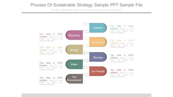Process Of Sustainable Strategy Sample Ppt Sample File Process Of Sustainable Strategy Sample Ppt Sample File