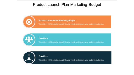 Product Launch Plan Marketing Budget Ppt PowerPoint Presentation Inspiration Aids Cpb
