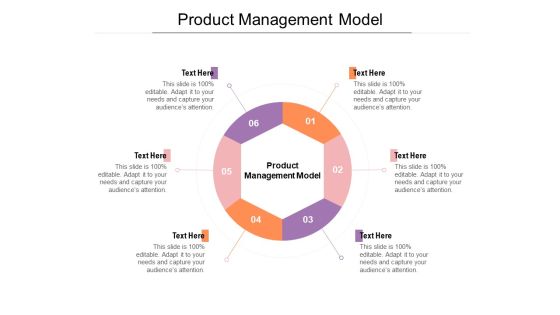 Product Management Model Ppt PowerPoint Presentation Diagrams Cpb
