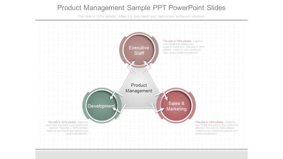 Product Management Sample Ppt Powerpoint Slides Product Management Sample Ppt Powerpoint Slides