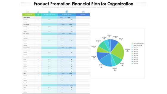 Product Promotion Financial Plan For Organization Ppt PowerPoint Presentation File Guide PDF