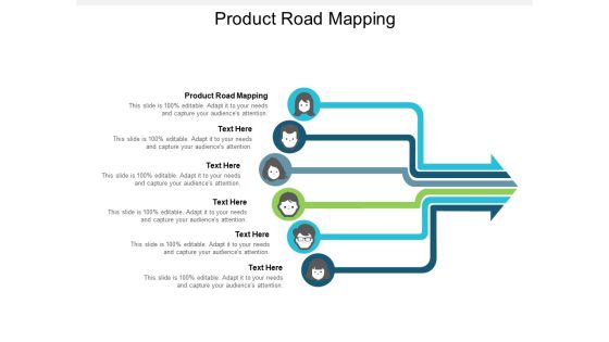 Product Road Mapping Ppt PowerPoint Presentation Gallery Graphics Download Cpb