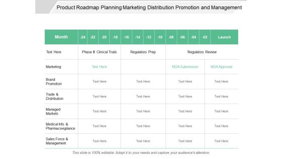 Product Roadmap Planning Marketing Distribution Promotion And Management Ppt PowerPoint Presentation Summary Tips