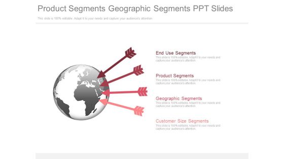 Product Segments Geographic Segments Ppt Slides