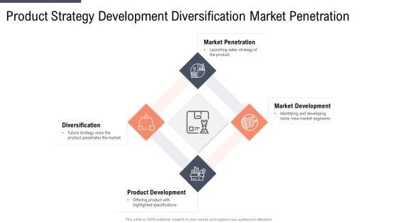 Product Strategy Development Diversification Market Penetration Professional PDF