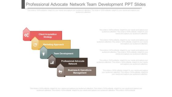 Professional Advocate Network Team Development Ppt Slides