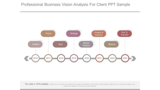 Professional Business Vision Analysis For Client Ppt Sample Professional Business Vision Analysis For Client Ppt Sample