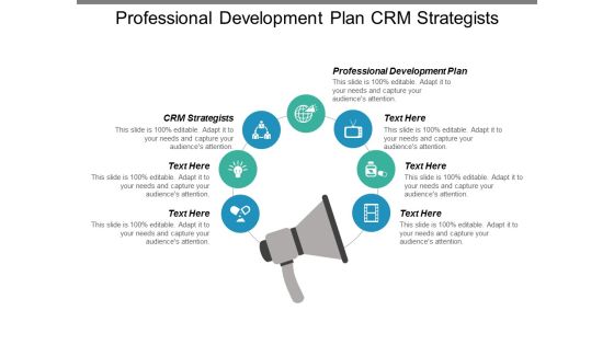 Professional Development Plan Crm Strategists Ppt PowerPoint Presentation Inspiration Show Professional Development Plan Crm Strategists Ppt PowerPoint Presentation Inspiration Show