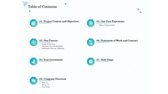 Professional Sanitation Solutions Table Of Contents Ppt Infographics Outfit PDF