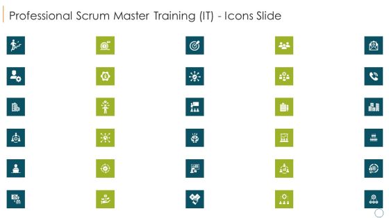 Professional Scrum Master Training IT Professional Scrum Master Training IT Icons Slide Summary PDF Professional Scrum Master Training IT Professional Scrum Master Training IT Icons Slide Summary PDF